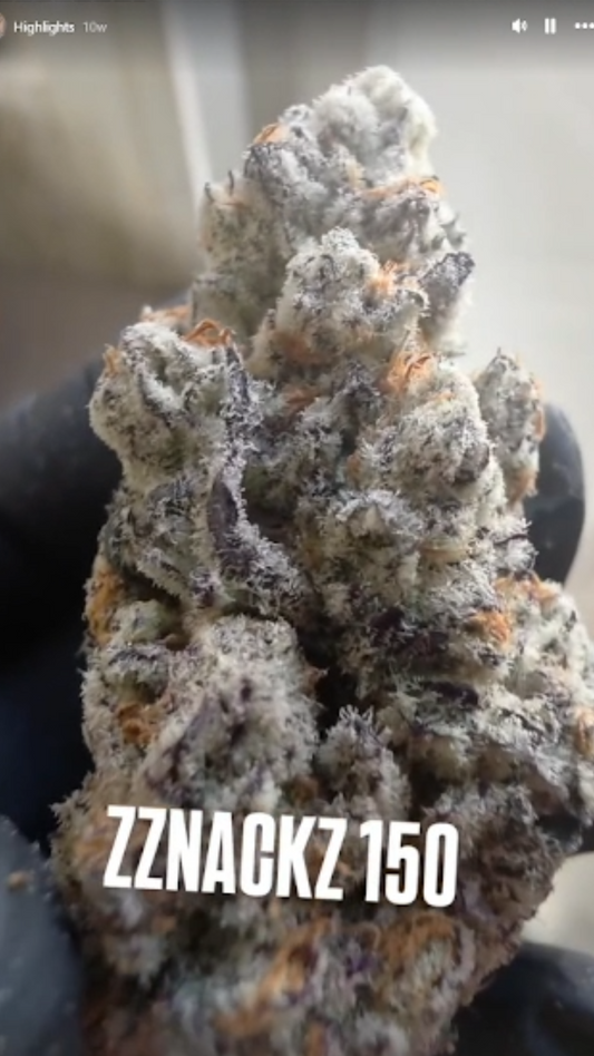 PoZterized (Tricho Jordan 5 × Zznackz) 6pk Fems