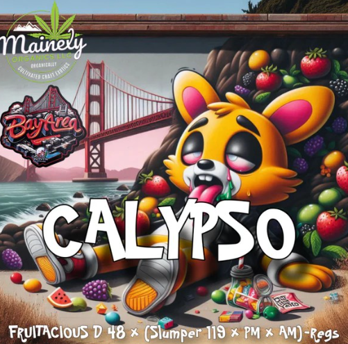 Calypso REG Seeds