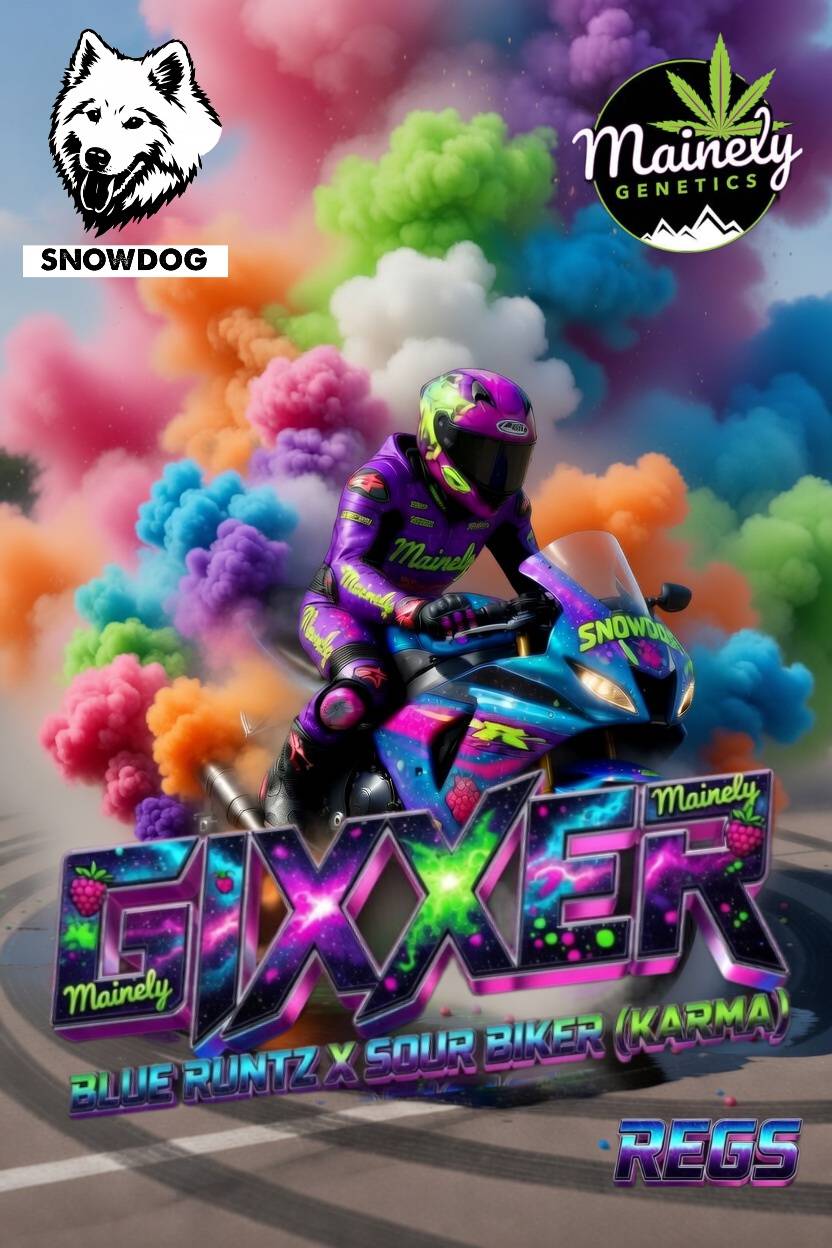 Gixxer REGS