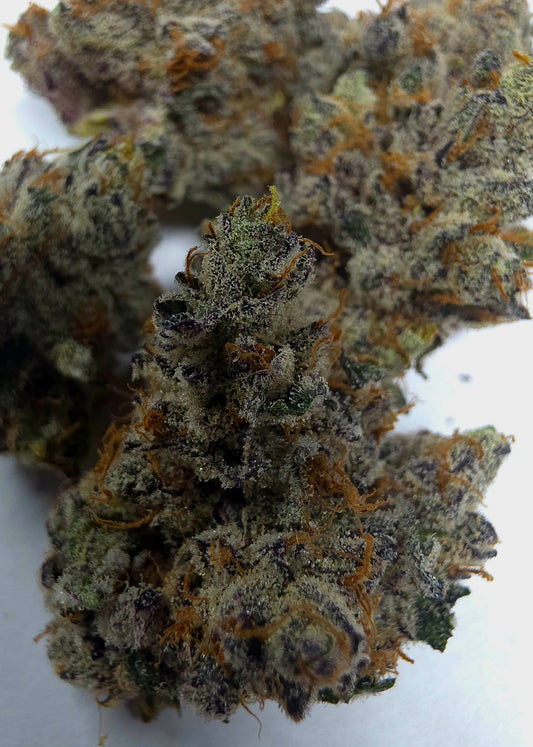 Jumex (Jokers Juice x Alien Vortex 94) 6pk Fems