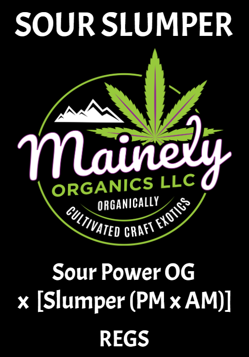 Sour slumper "unreleased regs"