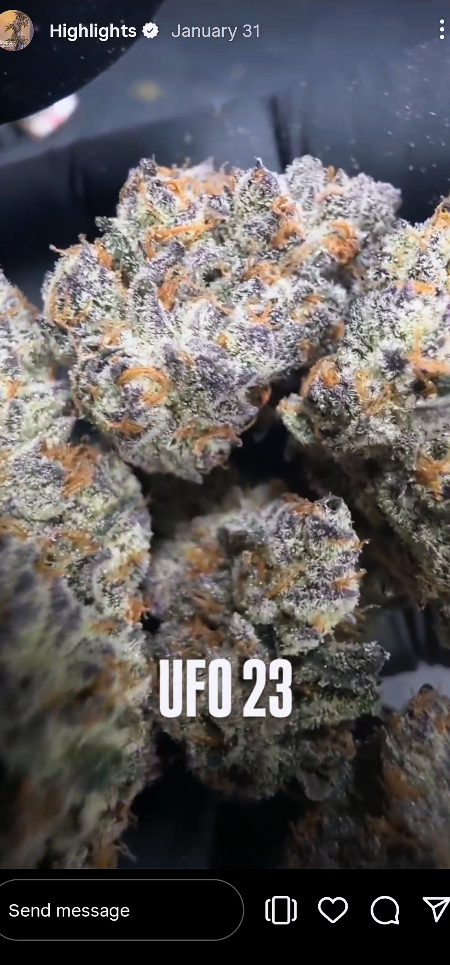 U.F.O. (Ooze x Zero Gravity 60) Snips