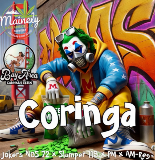 Coringa REG Seeds