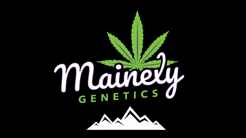 Logo de Mainely Genetics