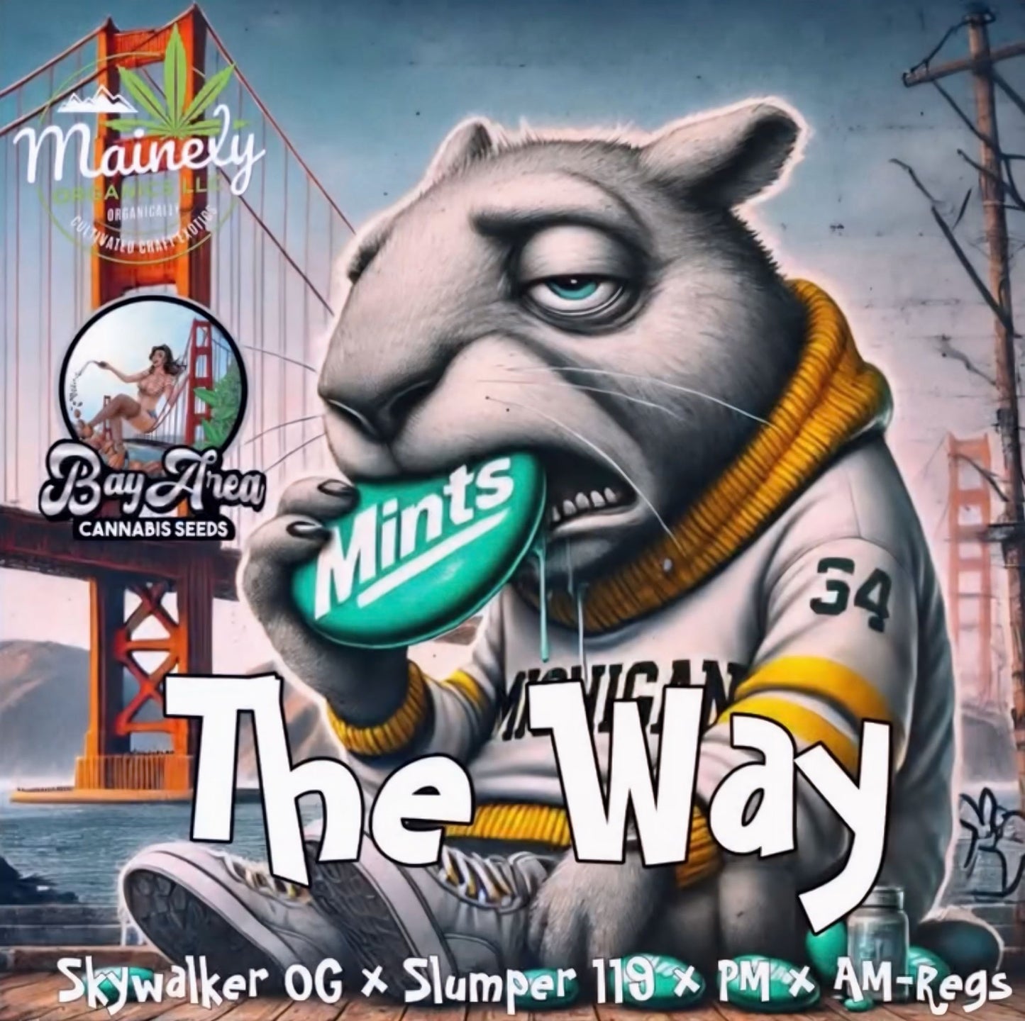 The Way {Skywalker OG x (Slumper 119 x (PM x AM)} regs