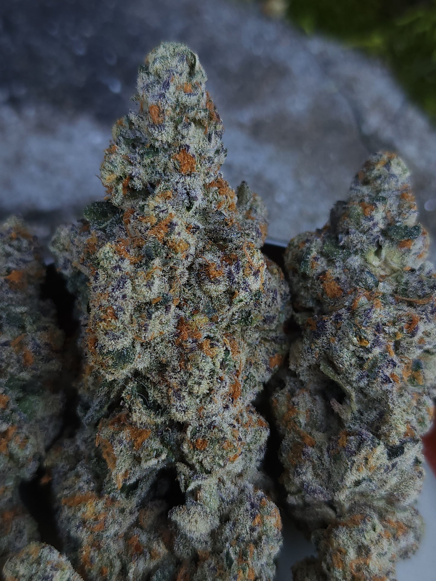 Ultra premium tier 5 strain Cut package!!! Only 2 released per month at this price