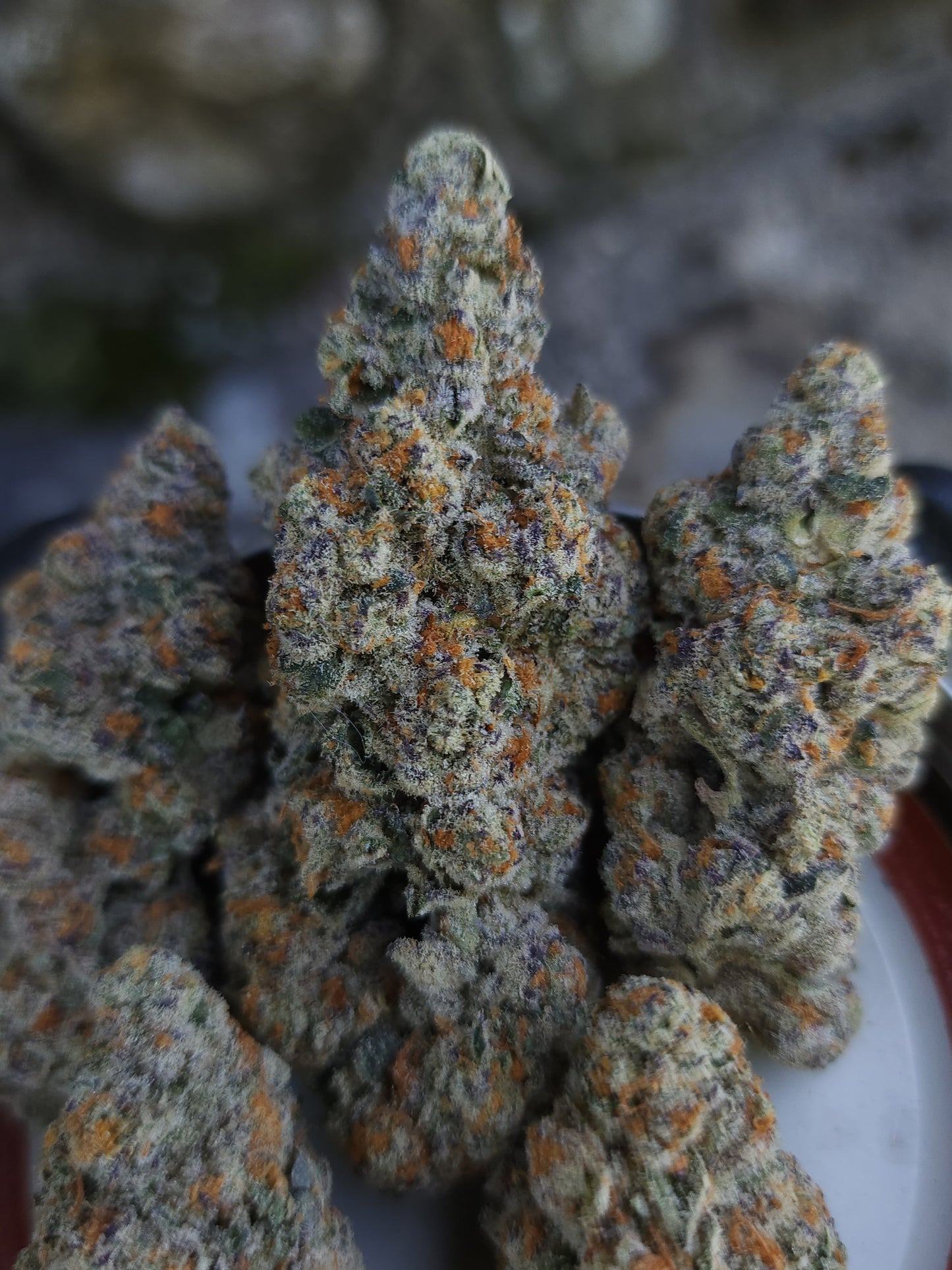 Ultra premium tier 5 strain Cut package!!! Only 2 released per month at this price