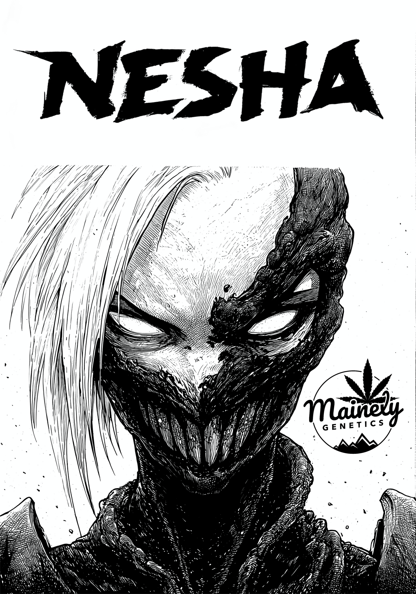 NESHA 6PK