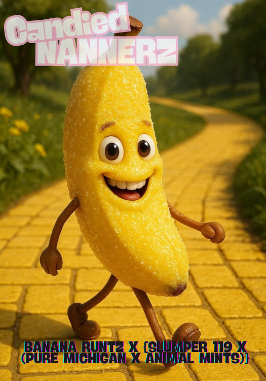 Candied Nanners "unreleased regs"