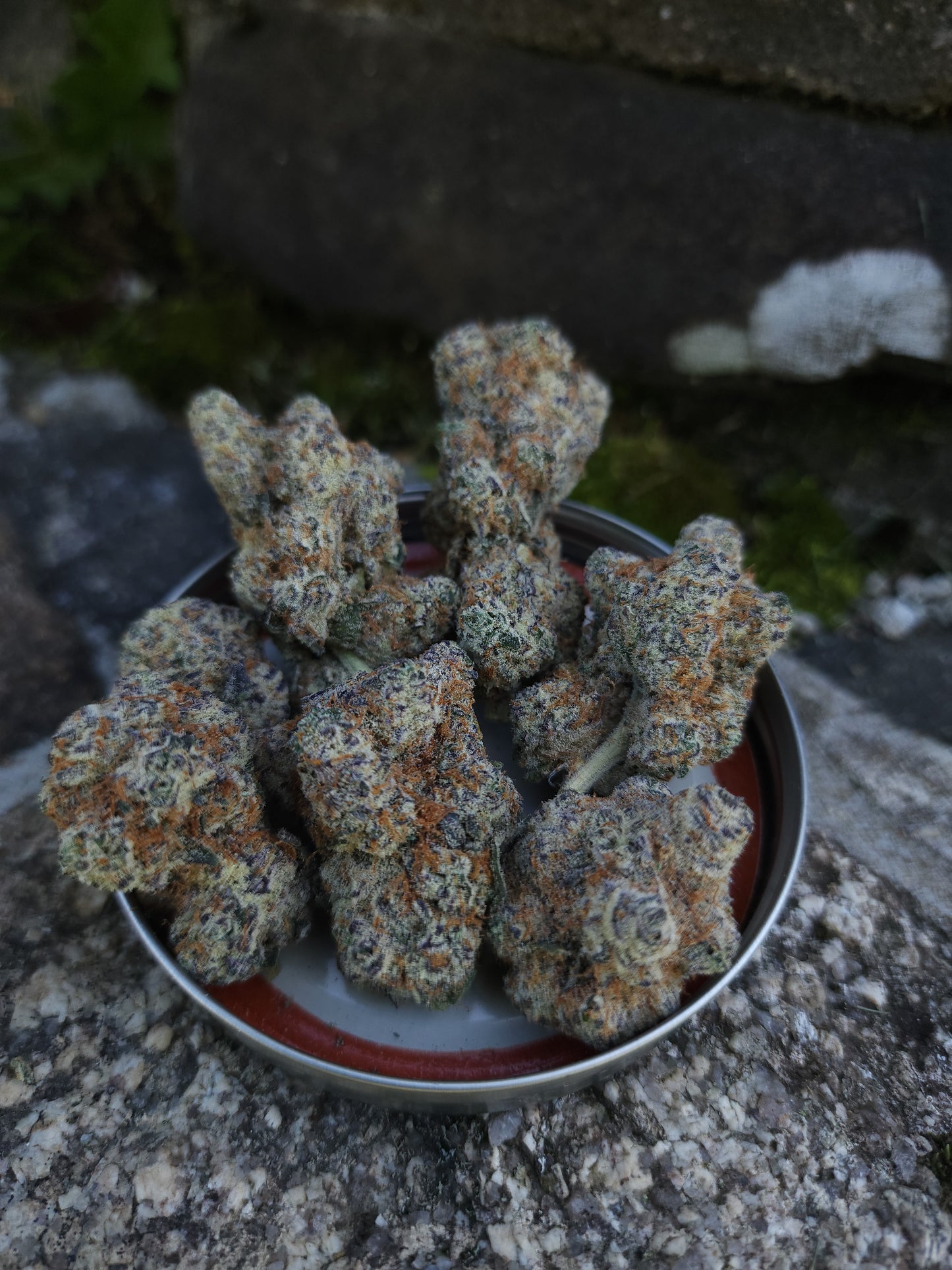 Budget 5 strain bundle
