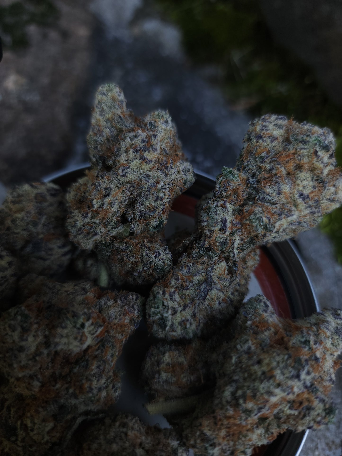 Budget 5 strain bundle