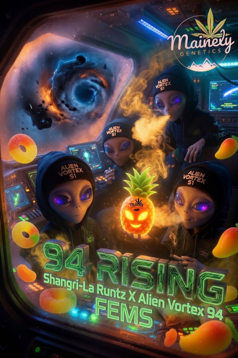 94 Rising (Shangri-La Runtz x Alien Vortex 94) Fems – 6 Pack