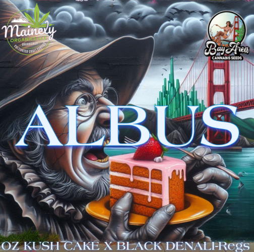 Albus REG Seeds