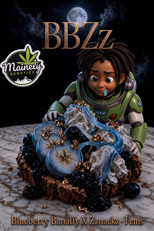 BBZz (Blue Banaffy × Zznackz)