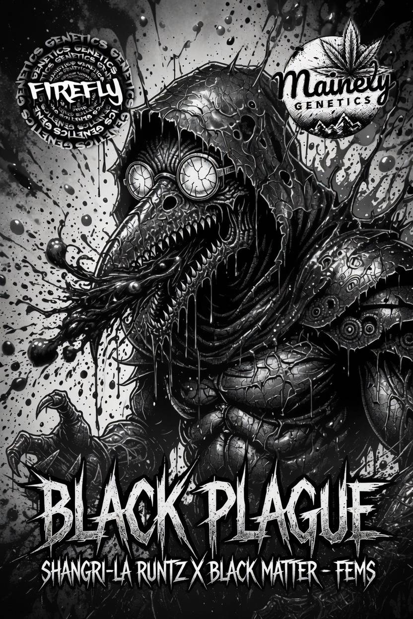 Black Matter Boxset Volume 4