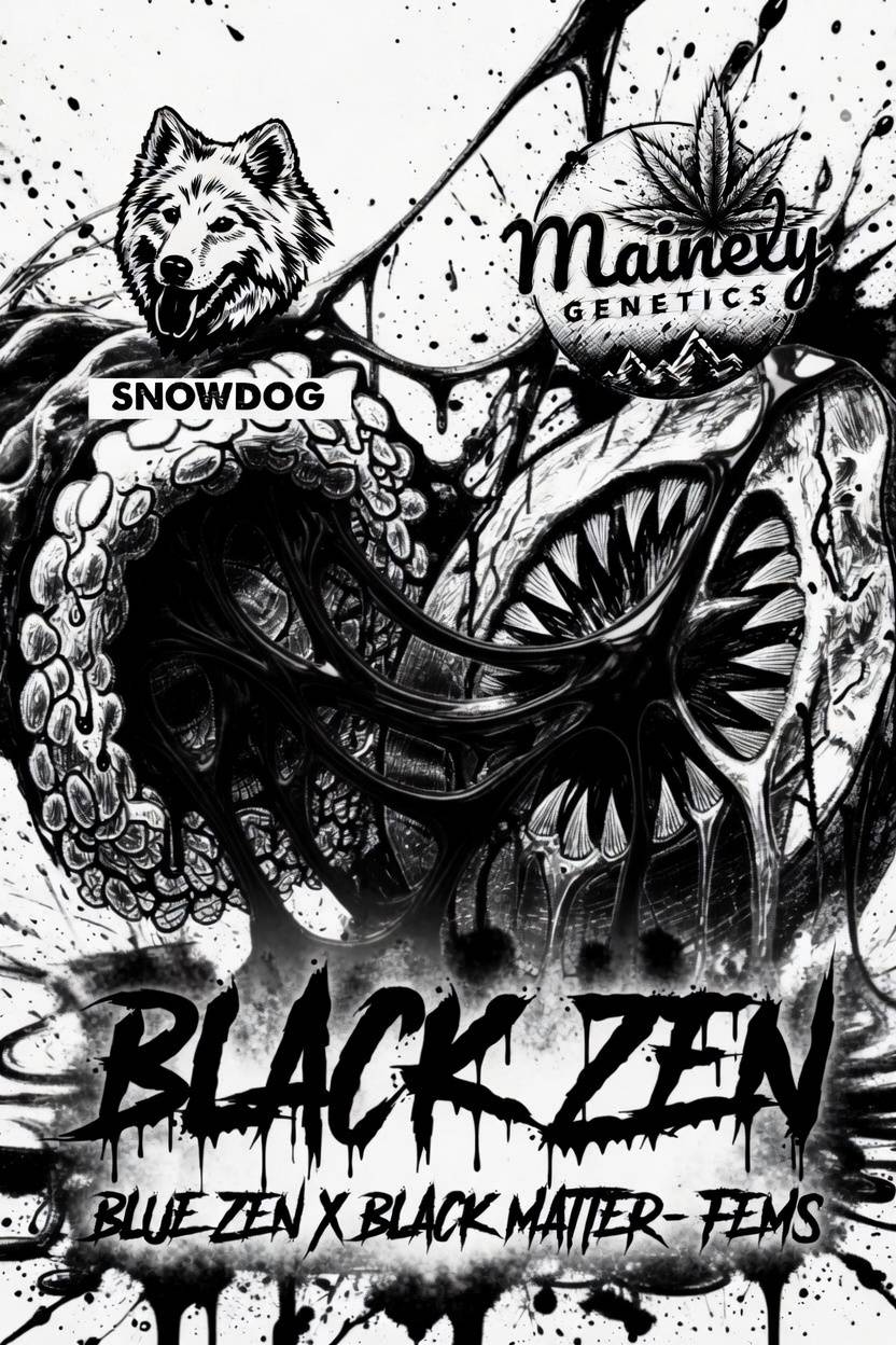 Black Matter Boxset Volume 4