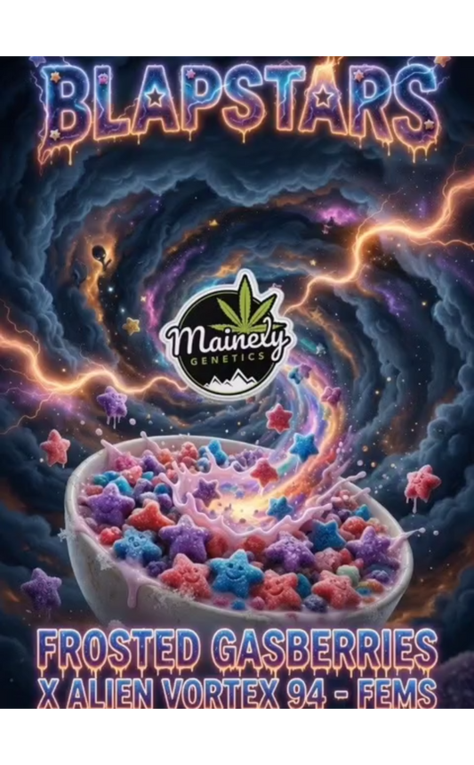 Blapstars (Frosted Gasberries x Alien Vortex 94) 6pk Fems