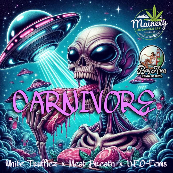 Carnivore - (White Truffle x Meat Breath) x U.F.O - Fem Seeds
