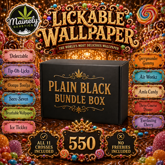 Lickable Wallpaper — Plain Black Bundle Box
