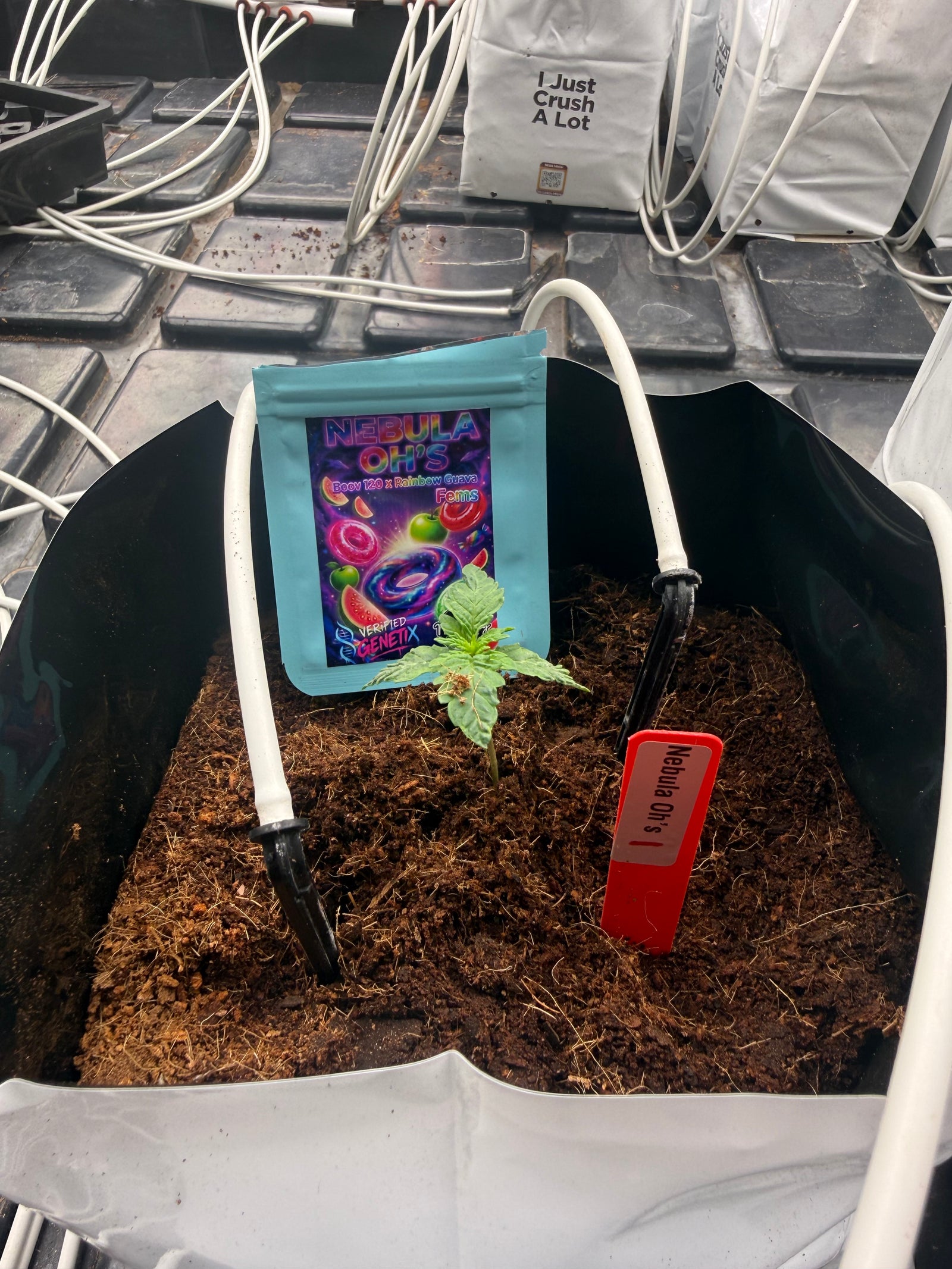 U.C. It Farm