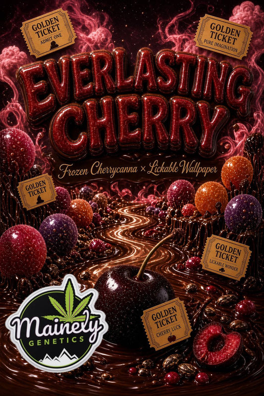 Everlasting Cherry (Frozen Cherrycanna x Lickable Wallpaper)