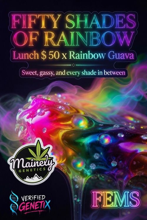 Fifty Shades Of Rainbow (Lunch $ 50 x Rainbow Guava)
