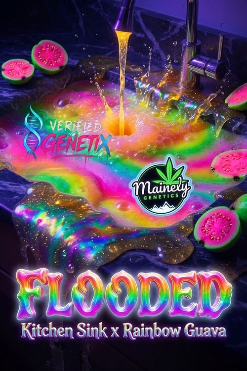 Flooded (Kitchen Sink x Rainbow Guava)
