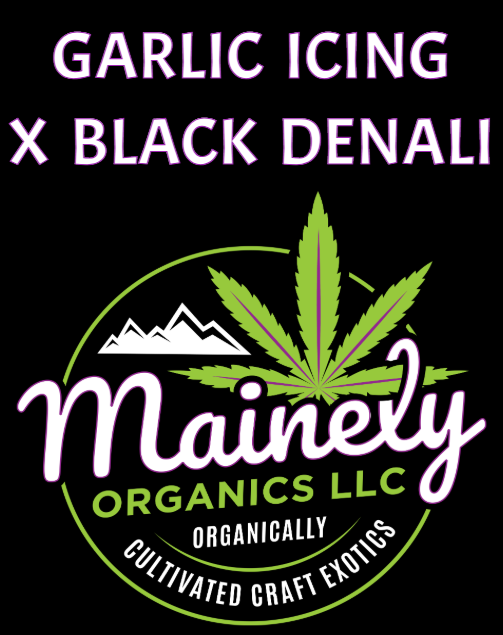 Garlic Icing x Black Denali REGS