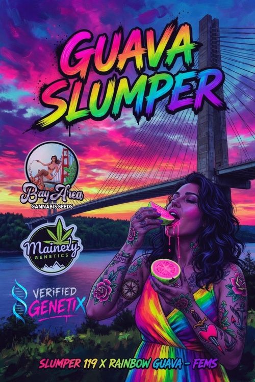 Guava Slumper (Slumper 119 × Rainbow Guava)