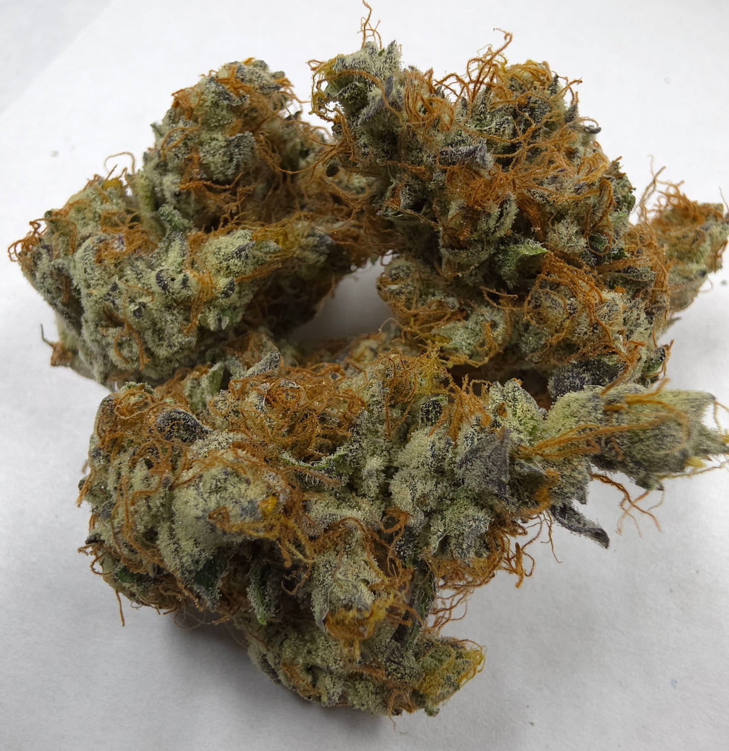 Jack Black 19 (Jack Herer x Black Truffle) Snips