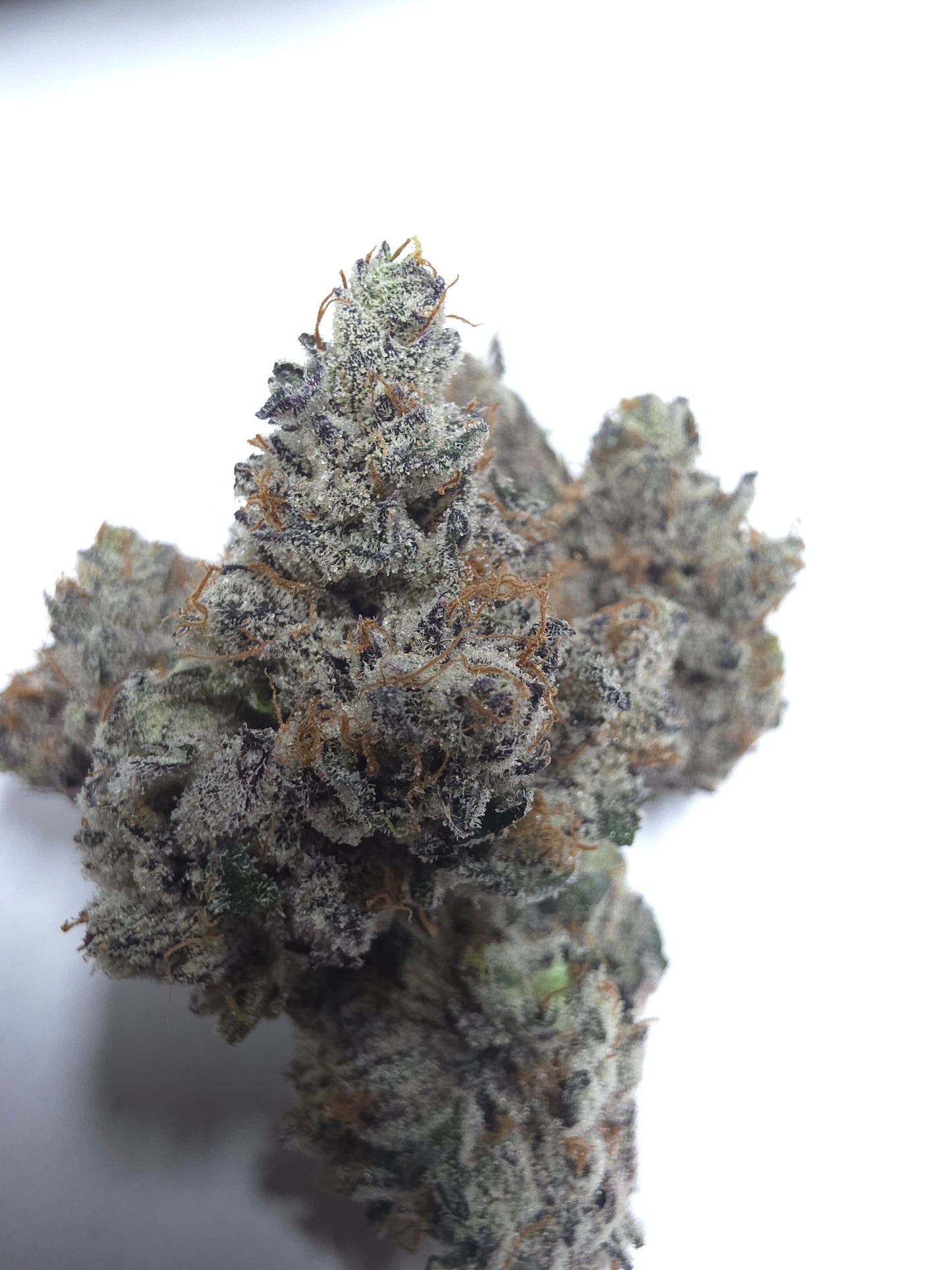 Jumex (Jokers Juice x Alien Vortex 94) 6pk Fems