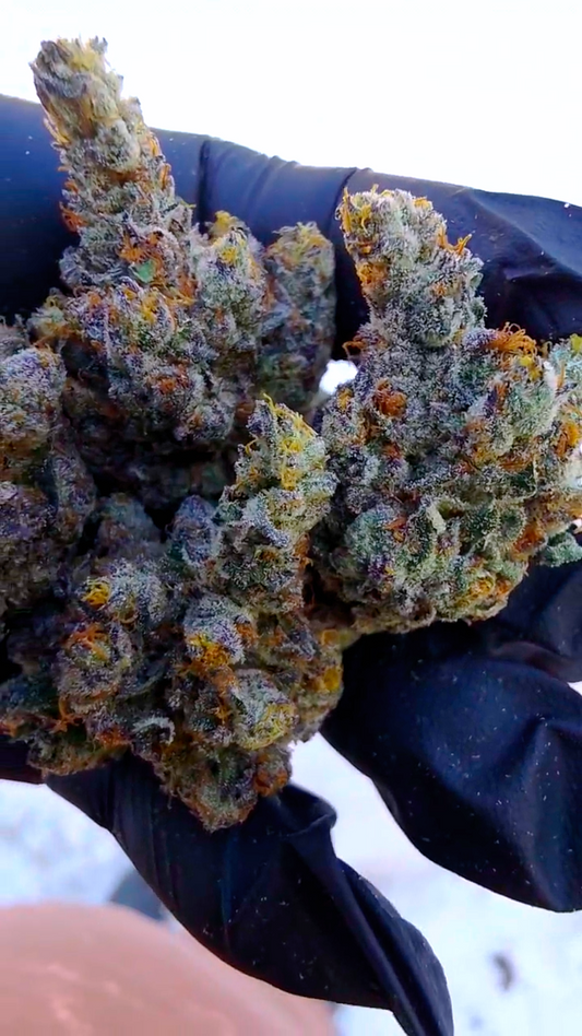 Smurky (Jokers Nos 72 x Black Matter) 6pk Fems