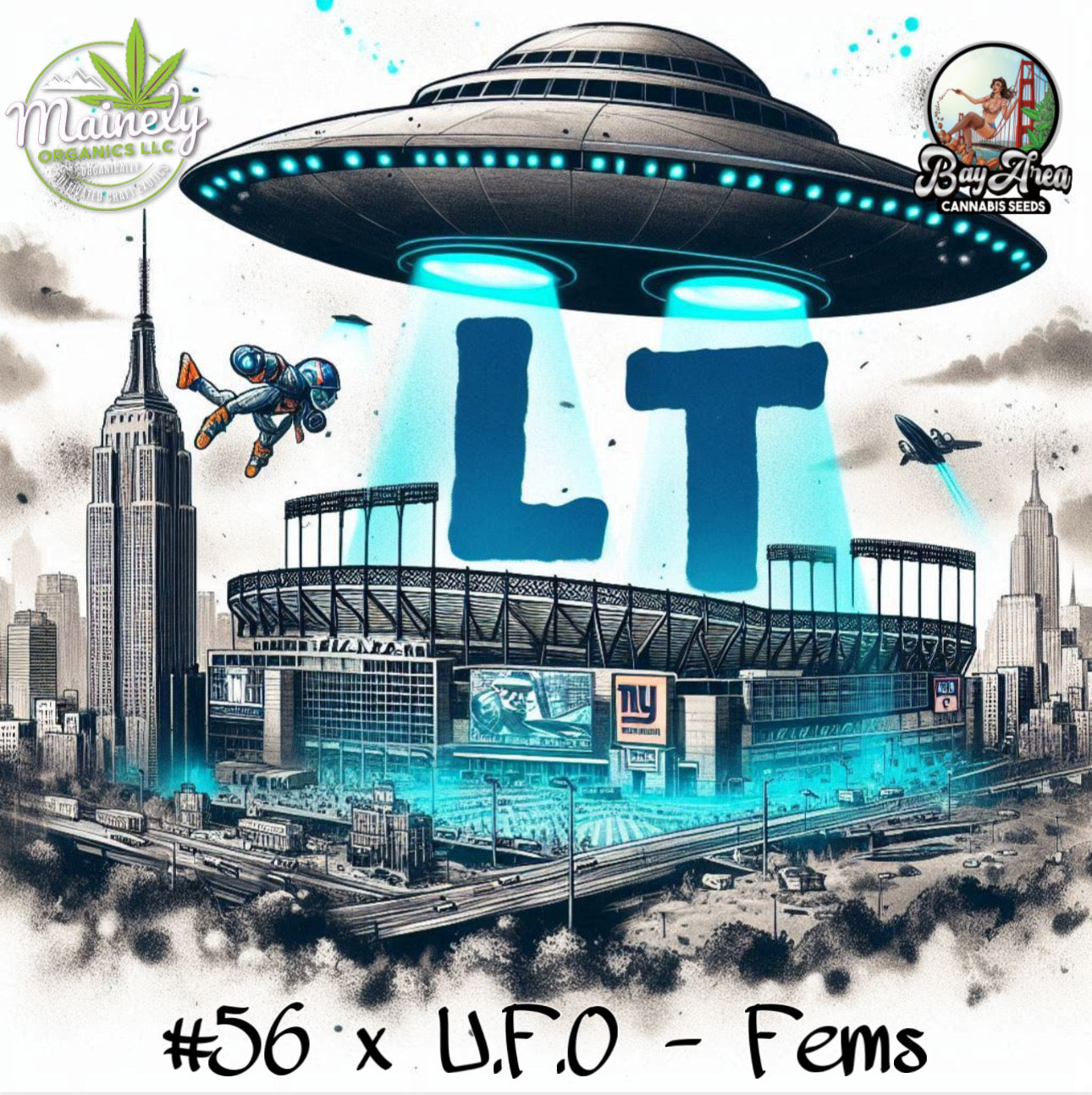 Number 56 x U.F.O "fem seeds"