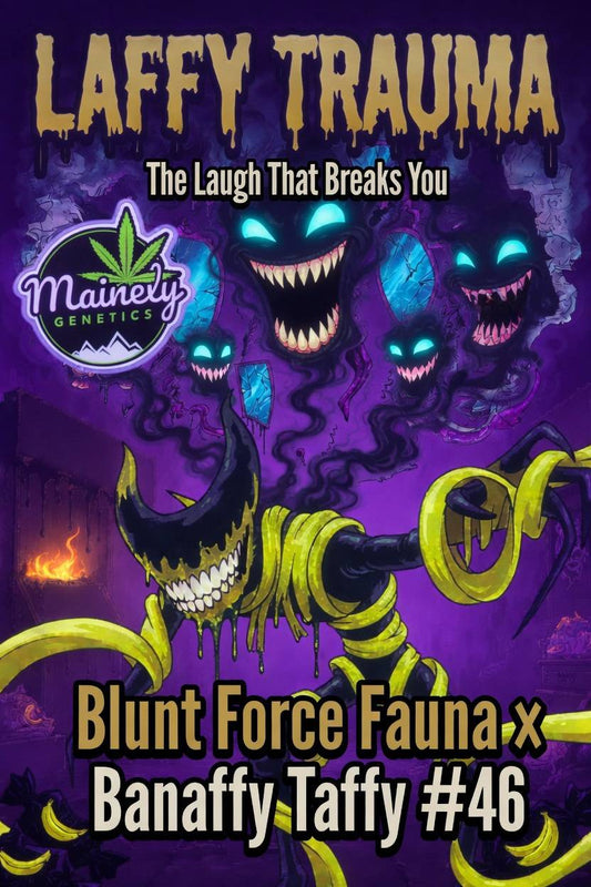 Laffy Trauma (Blunt Force Fauna x Banaffy Taffy 46)