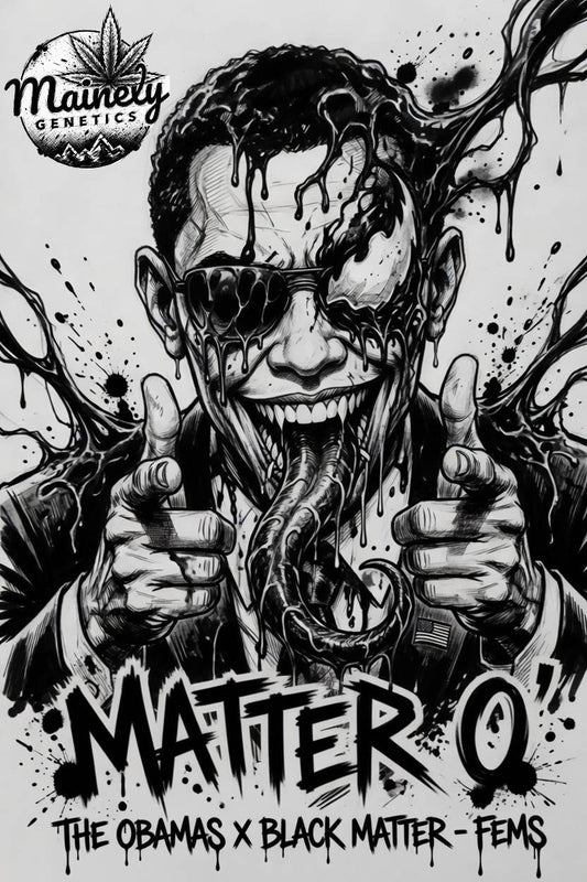 Matter O (The Obamas x Black Matter) 6pk Fems