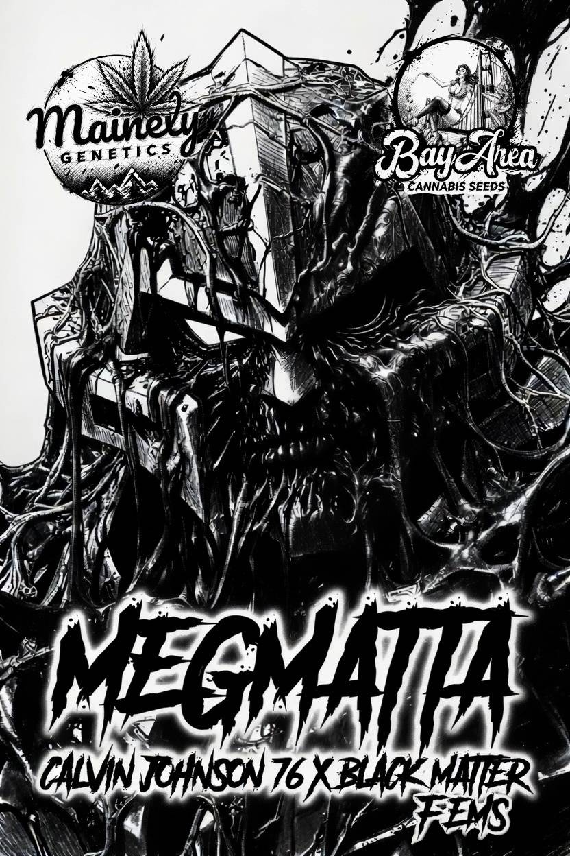 Black Matter Boxset Volume 4