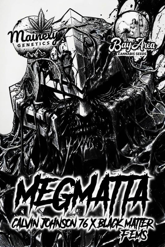 Megmatta (Calvin Johnson x Black Matter 100)