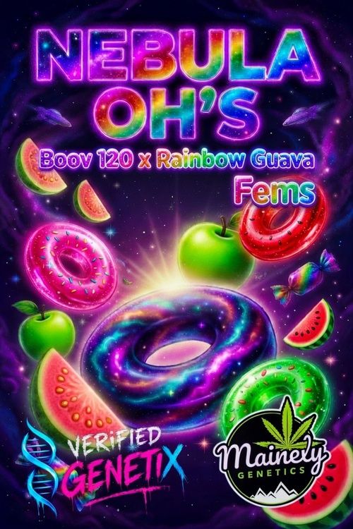 Nebulah Oh's - Reserved for Grow Off- (Boov 120 x Rainbow Guava)