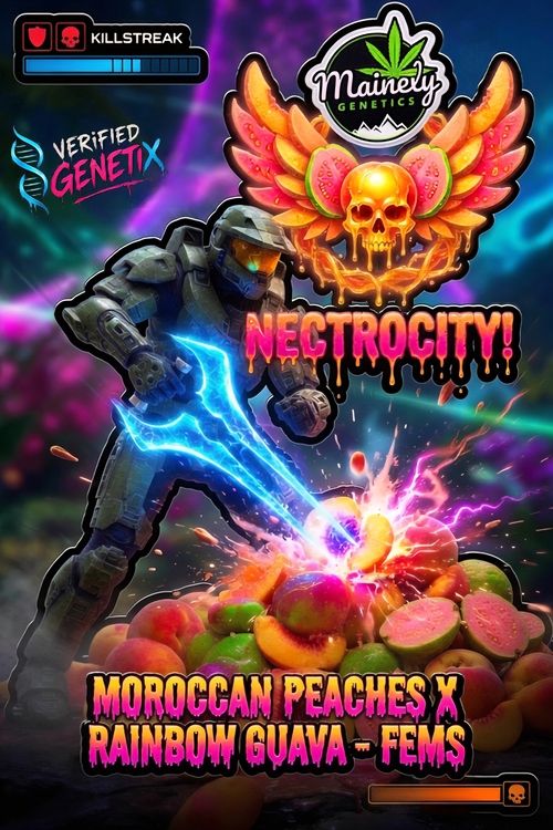 Nectrocity (Moroccan Peaches × Rainbow Guava)