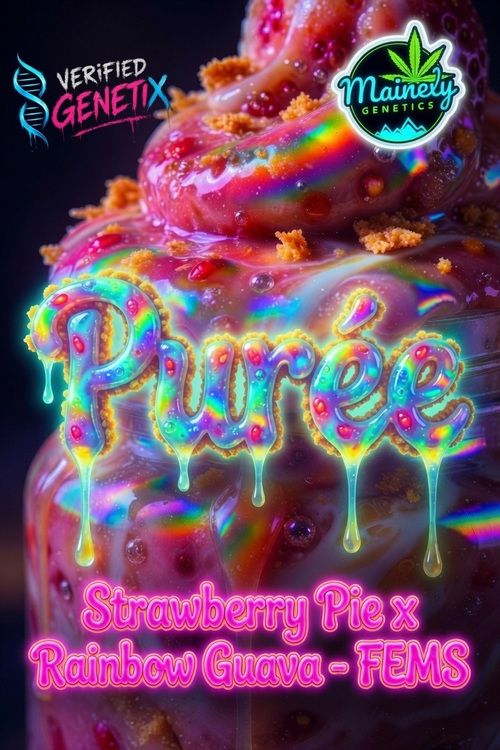 PURÉE (Strawberry Pie x Rainbow Guava)