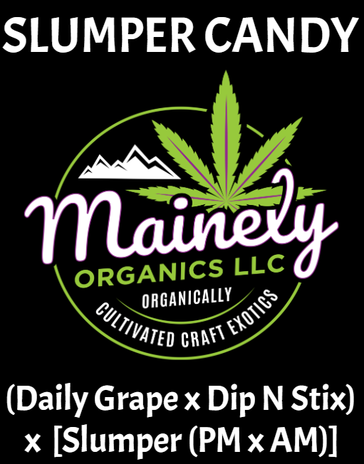 Slumper candy "unreleased regs"