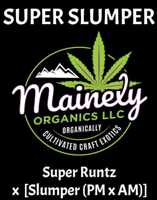 Super Slumper "unreleased regs"