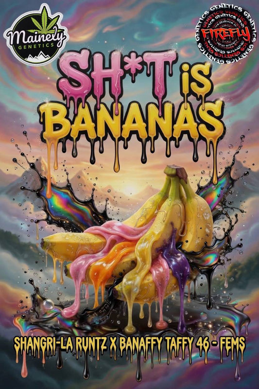 Sh*t is Bananas (Shangri-La Runtz x Banaffy Taffy 46) Fems