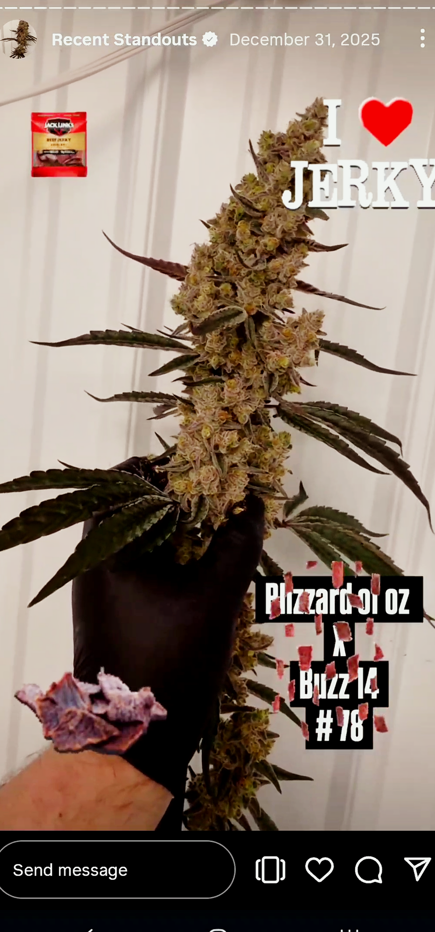 Spacify 78 (Boz 59 x Buzz) Snips