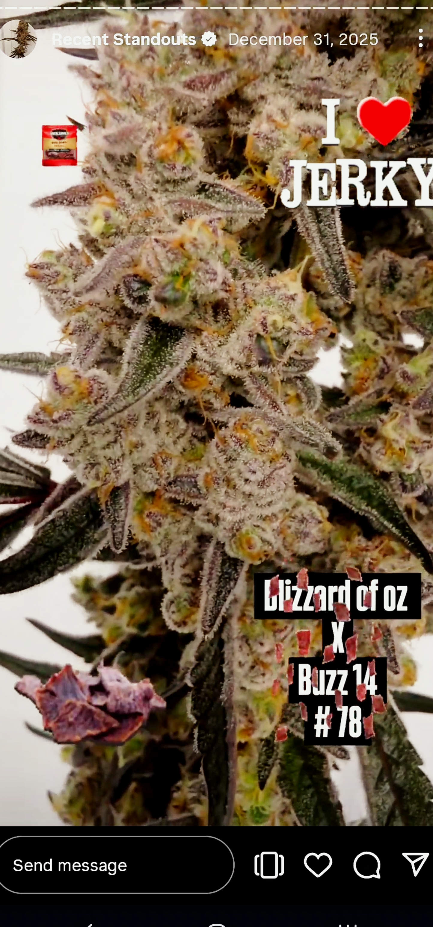 Spacify 78 (Boz 59 x Buzz) Snips