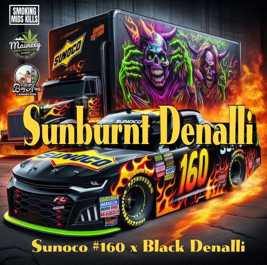 Sunburnt Denali - Sunoco x Black Denali "reg seeds"