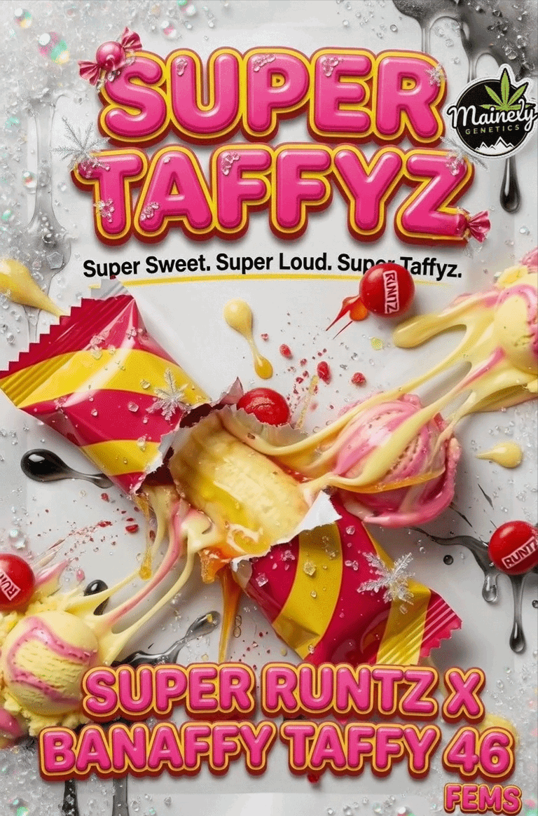 Super Taffyz (Super Runtz x Banaffy Taffy 46)