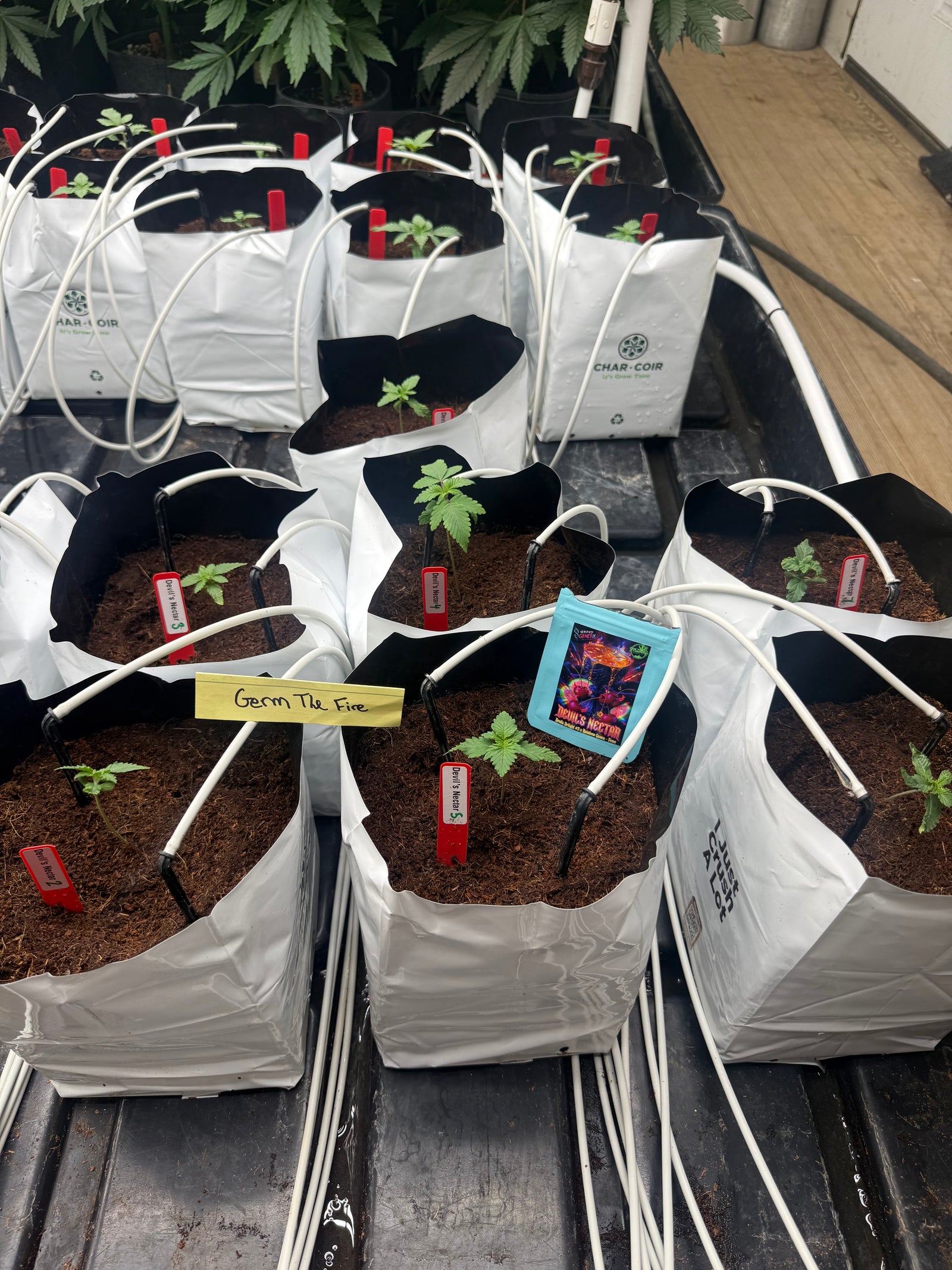 U.C. it Farm