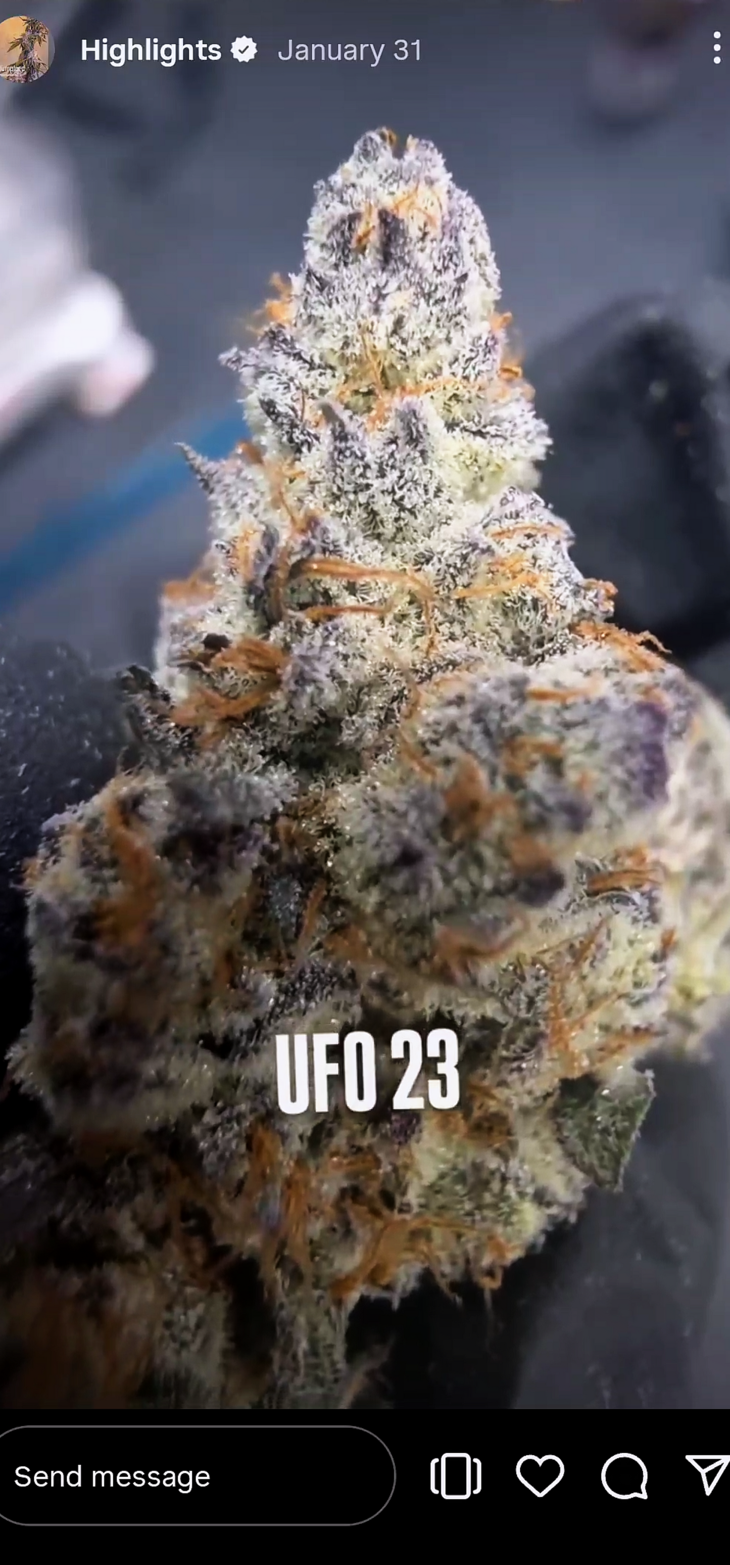 U.F.O. (Ooze x Zero Gravity 60) Snips