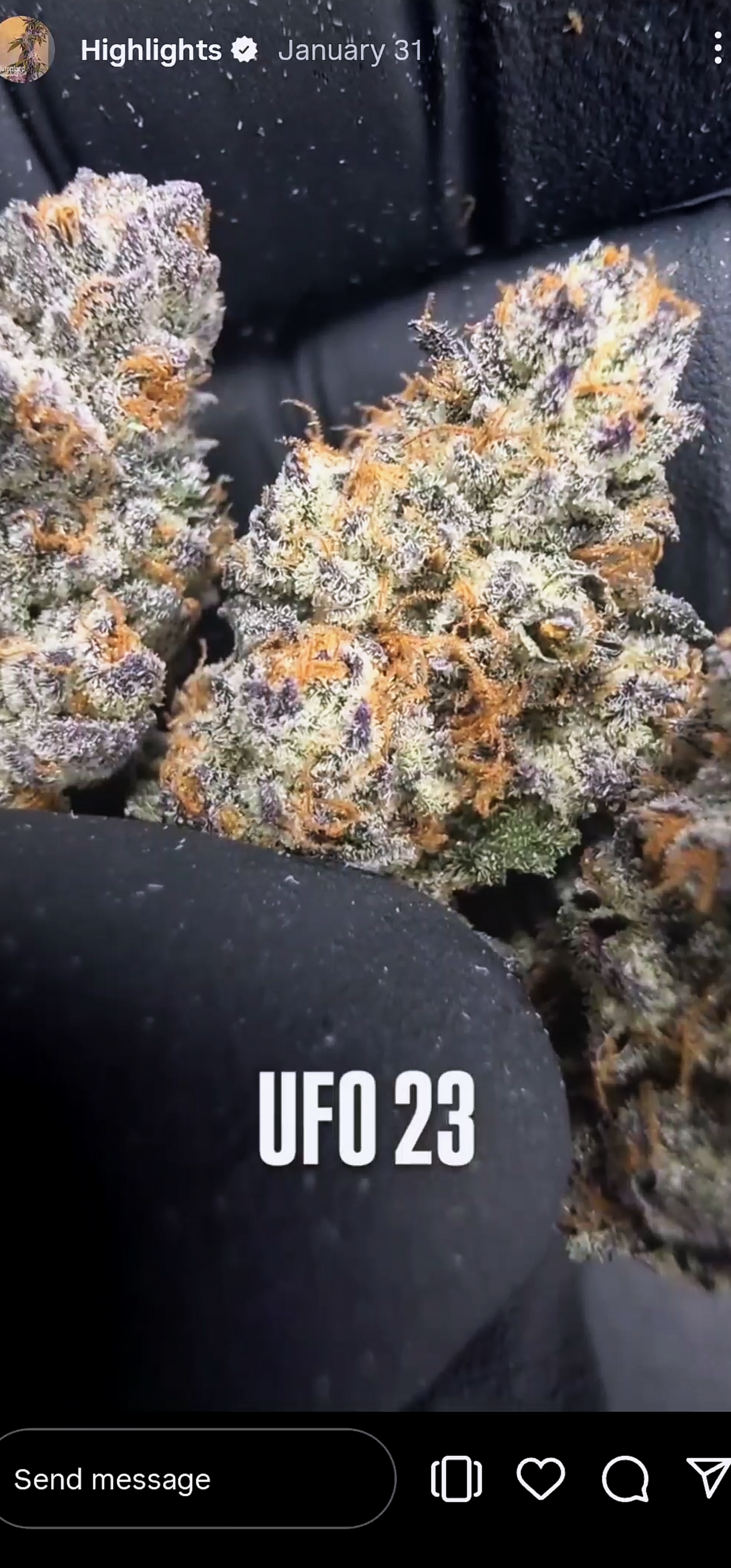 U.F.O. (Ooze x Zero Gravity 60) Snips